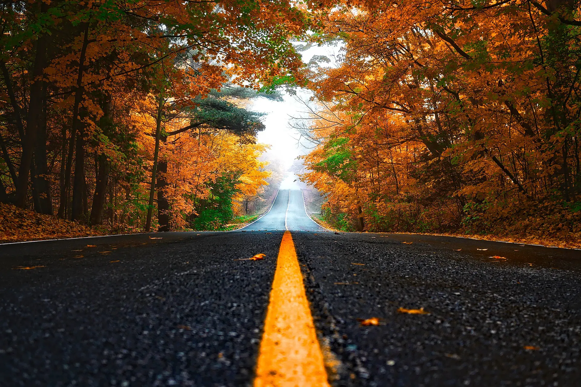 Bucks County  Septic and Water Lines