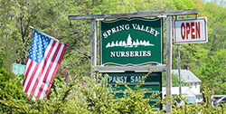 Spring Valley Nurseries